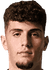 J. Palhinha