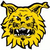 Y Ilves (w)