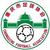 Chongqing Youth)