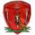Sawmer SC
