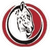 Jaguar FC