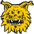 Ilves II (w)