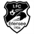 FC 1906 Erlensee