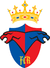 FC Rapid