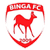 Binga