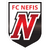Nefis Kazan