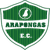Arapongas EC U20