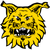 FC Ilves II U20