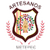 Artesanos Metepec FC