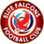 Elite Falcons FC