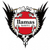 Llamas Kochi FC