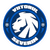 ACS Viitorul Severin