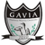 Gavia Choszczno