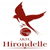 Hirondelle Kumamoto