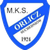 Orlicz Suchedniow