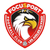 FocuSport FC