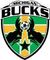 Michigan Bucks
